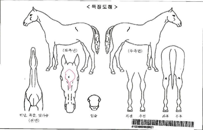 ������Ʈ�ڸ��� ����,���,�޸�,�λ�,�ٸ��� Ư¡����