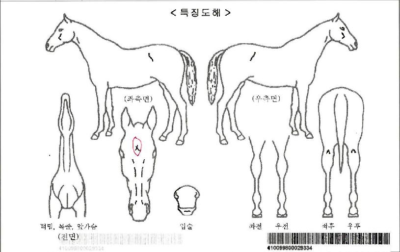 µ¥ÀÎÀúÁ¸ÀÚ¸¶ÀÇ Ãø¸é,¿ì¸é,µÞ¸é,µÎ»ó,´Ù¸®ÀÇ Æ¯Â¡µµÇØ