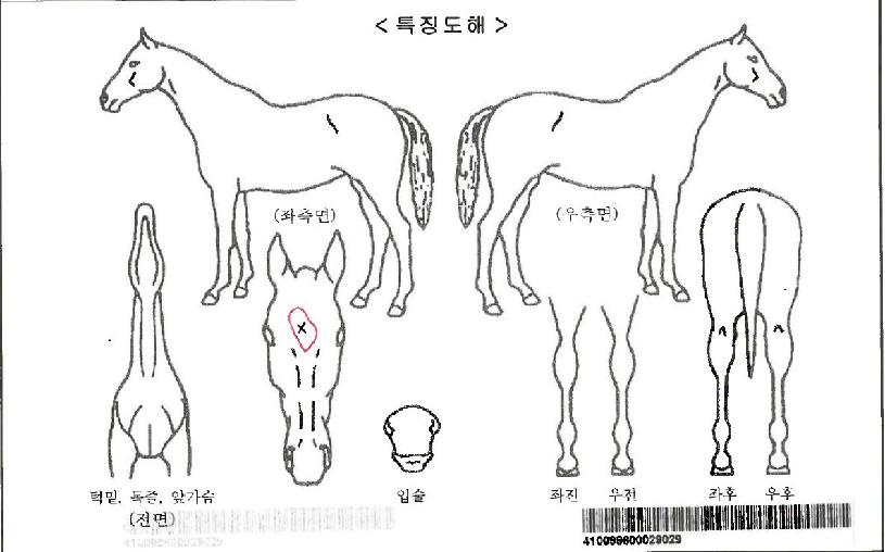 �����Ŀ��ڸ��� ����,���,�޸�,�λ�,�ٸ��� Ư¡����