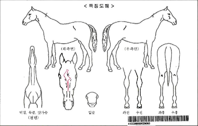 �����Ʈ�����ڸ��� ����,���,�޸�,�λ�,�ٸ��� Ư¡����