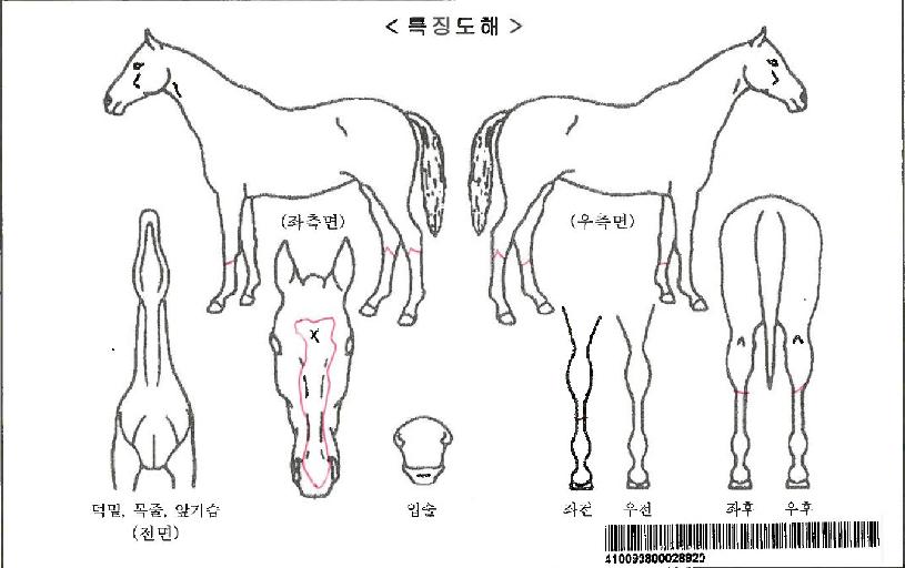 �θ������̵��ڸ��� ����,���,�޸�,�λ�,�ٸ��� Ư¡����