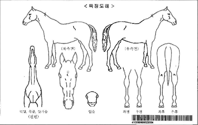 ÆÐÀüÆ®¸®ÀÚ¸¶ÀÇ Ãø¸é,¿ì¸é,µÞ¸é,µÎ»ó,´Ù¸®ÀÇ Æ¯Â¡µµÇØ
