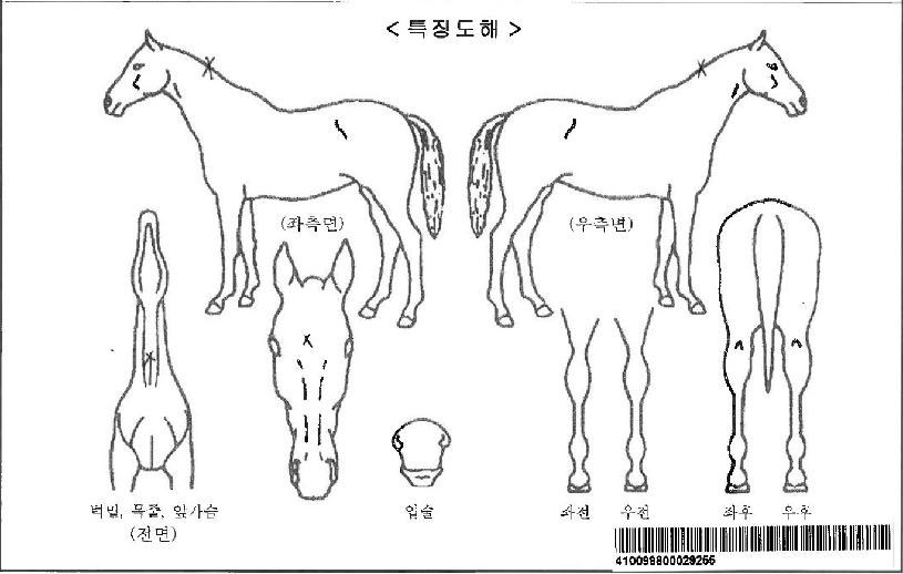 º¸¹èµå¸²ÀÚ¸¶ÀÇ Ãø¸é,¿ì¸é,µÞ¸é,µÎ»ó,´Ù¸®ÀÇ Æ¯Â¡µµÇØ