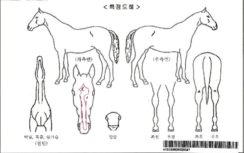 ü����Ű���ڸ��� ����,���,�޸�,�λ�,�ٸ��� Ư¡����