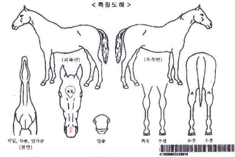 �ε��������� ����,���,�޸�,�λ�,�ٸ��� Ư¡����