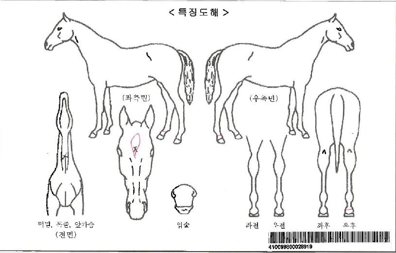 �������ڸ��� ����,���,�޸�,�λ�,�ٸ��� Ư¡����