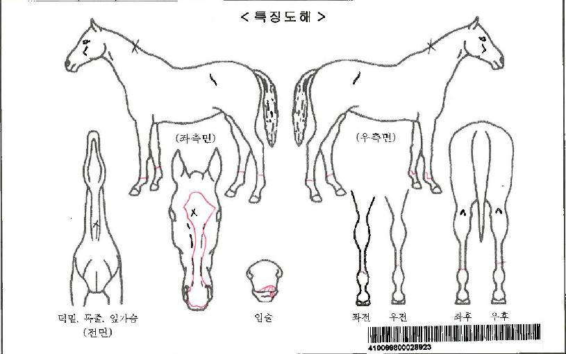 À§´ëÇÑÂüÀüÀÚ¸¶ÀÇ Ãø¸é,¿ì¸é,µÞ¸é,µÎ»ó,´Ù¸®ÀÇ Æ¯Â¡µµÇØ