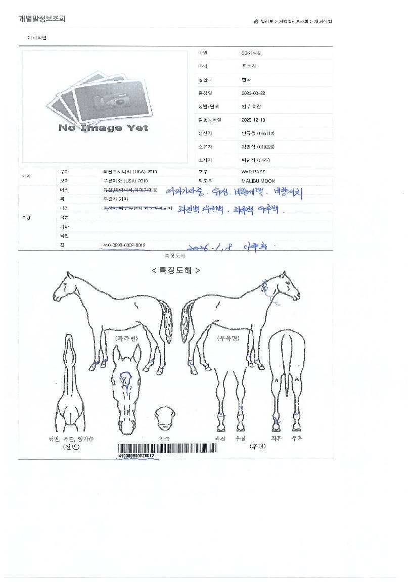 Ǫ¸¥ÂüÀÇ Ãø¸é,¿ì¸é,µÞ¸é,µÎ»ó,´Ù¸®ÀÇ Æ¯Â¡µµÇØ
