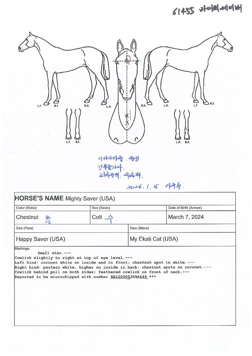 ����Ƽ���̹��� ����,���,�޸�,�λ�,�ٸ��� Ư¡����