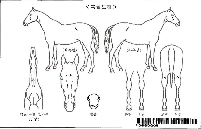 ���̽��ַհ��ڸ��� ����,���,�޸�,�λ�,�ٸ��� Ư¡����