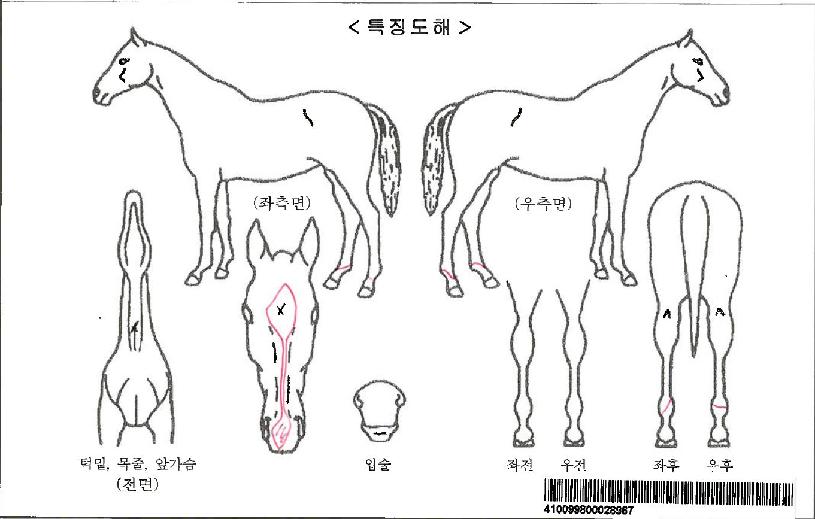 ½ºÆÄÀ̽º·ÏÀÚ¸¶ÀÇ Ãø¸é,¿ì¸é,µÞ¸é,µÎ»ó,´Ù¸®ÀÇ Æ¯Â¡µµÇØ