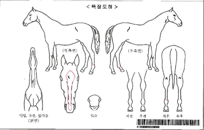 ½ºÀ§Æ®·ÏÀÚ¸¶ÀÇ Ãø¸é,¿ì¸é,µÞ¸é,µÎ»ó,´Ù¸®ÀÇ Æ¯Â¡µµÇØ