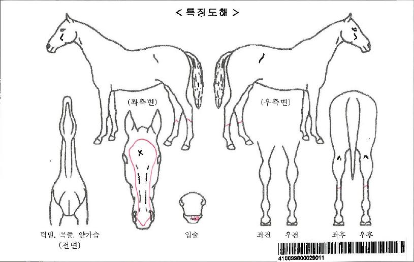 ¾îÁ¦À̼±Æ®ÀÚ¸¶ÀÇ Ãø¸é,¿ì¸é,µÞ¸é,µÎ»ó,´Ù¸®ÀÇ Æ¯Â¡µµÇØ