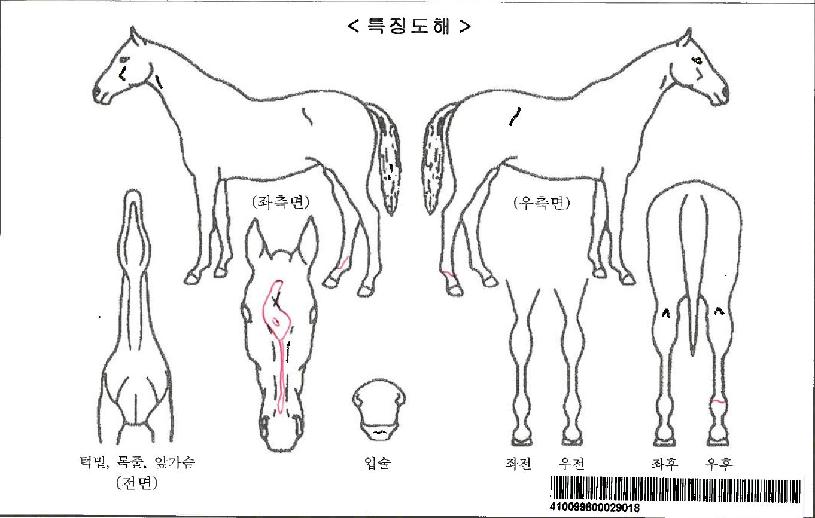 �̵峪��Ʈ���ڸ��� ����,���,�޸�,�λ�,�ٸ��� Ư¡����