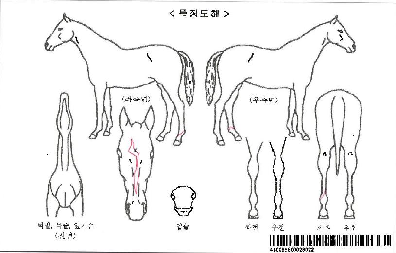 �����ڸ��� ����,���,�޸�,�λ�,�ٸ��� Ư¡����