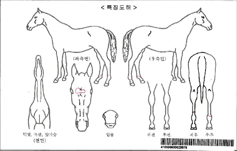 �ο���ũ���ڸ��� ����,���,�޸�,�λ�,�ٸ��� Ư¡����