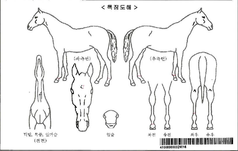 �������ڸ��� ����,���,�޸�,�λ�,�ٸ��� Ư¡����