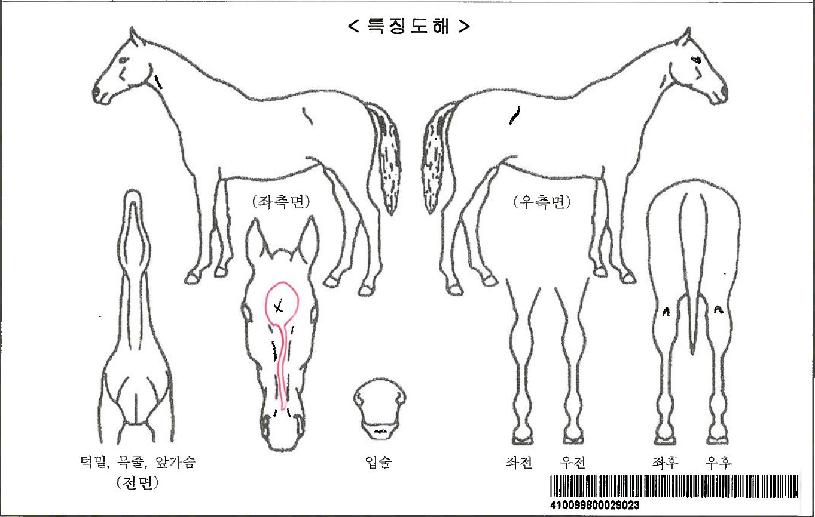 ����������Ʈ�ڸ��� ����,���,�޸�,�λ�,�ٸ��� Ư¡����