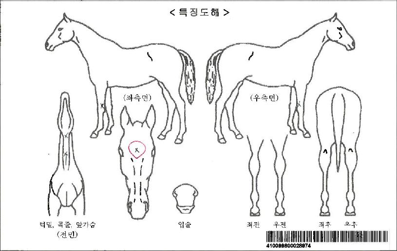 ��ť�����ڸ��� ����,���,�޸�,�λ�,�ٸ��� Ư¡����