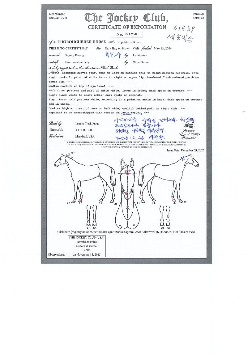 ¼¼Á¾ºñ»óÀÇ Ãø¸é,¿ì¸é,µÞ¸é,µÎ»ó,´Ù¸®ÀÇ Æ¯Â¡µµÇØ