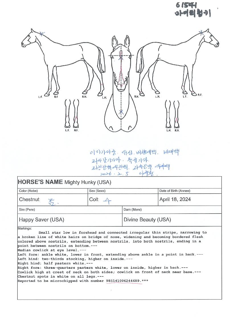 ¸¶ÀÌÆ¼ÇëŰÀÇ Ãø¸é,¿ì¸é,µÞ¸é,µÎ»ó,´Ù¸®ÀÇ Æ¯Â¡µµÇØ