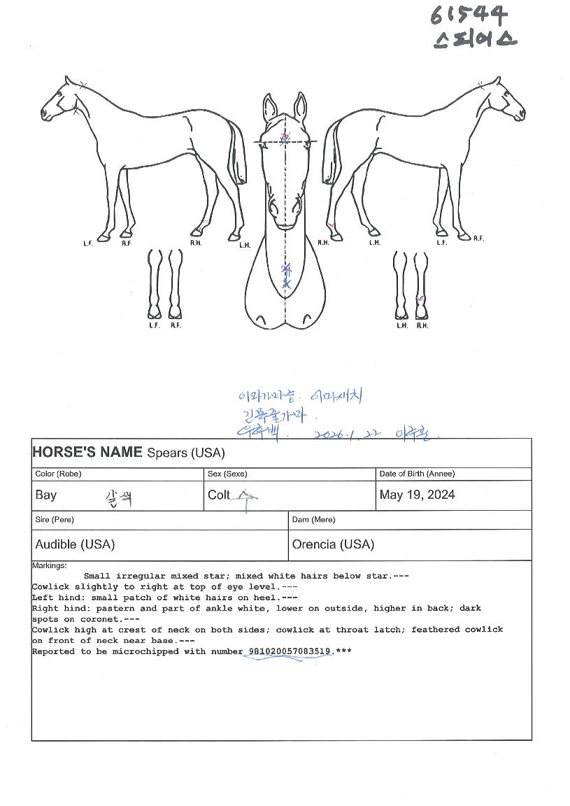 ½ºÇǾÀÇ Ãø¸é,¿ì¸é,µÞ¸é,µÎ»ó,´Ù¸®ÀÇ Æ¯Â¡µµÇØ