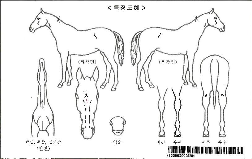 �����ǲ��ڸ��� ����,���,�޸�,�λ�,�ٸ��� Ư¡����