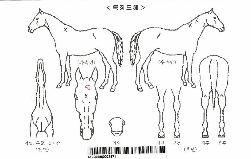 ��Ʈ�ڵ��ڸ��� ����,���,�޸�,�λ�,�ٸ��� Ư¡����