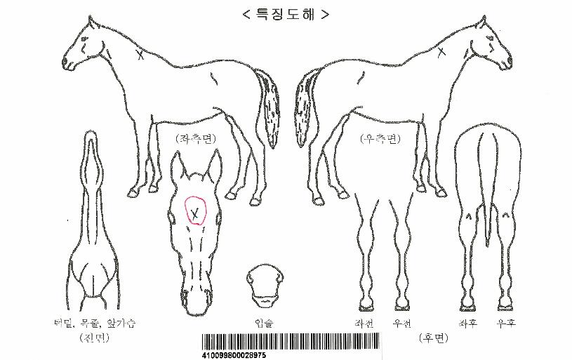 ��Ʈ��ġ�ڸ��� ����,���,�޸�,�λ�,�ٸ��� Ư¡����