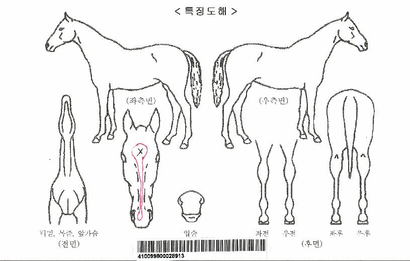 �Ѷ������ڸ��� ����,���,�޸�,�λ�,�ٸ��� Ư¡����