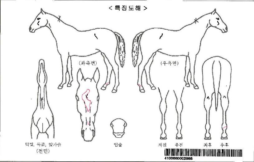 ŵ´õ¸ÞÀνÌÀÚ¸¶ÀÇ Ãø¸é,¿ì¸é,µÞ¸é,µÎ»ó,´Ù¸®ÀÇ Æ¯Â¡µµÇØ