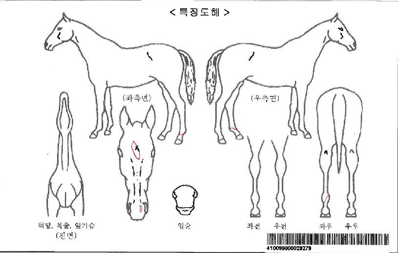 ���������ڸ��� ����,���,�޸�,�λ�,�ٸ��� Ư¡����