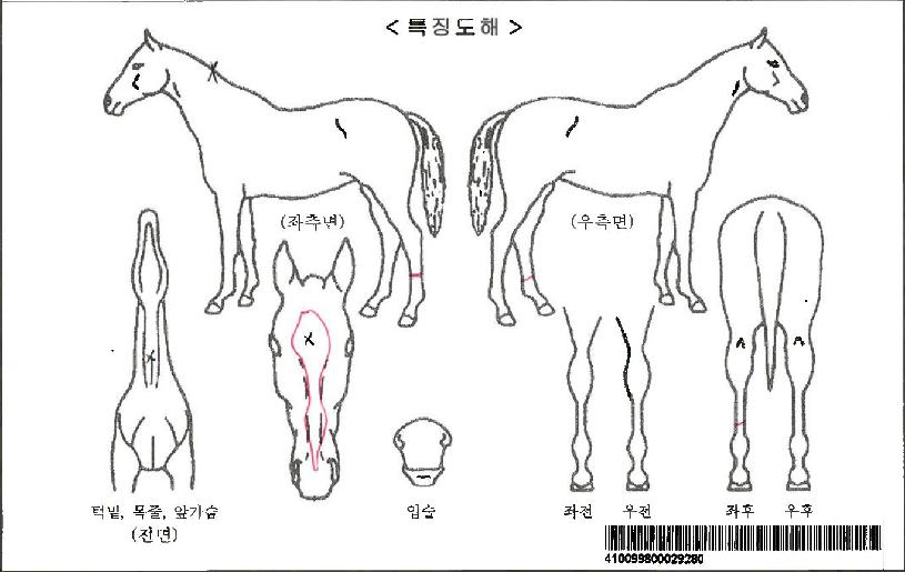Àεð¾ðÆÄÅ©ÀÚ¸¶ÀÇ Ãø¸é,¿ì¸é,µÞ¸é,µÎ»ó,´Ù¸®ÀÇ Æ¯Â¡µµÇØ