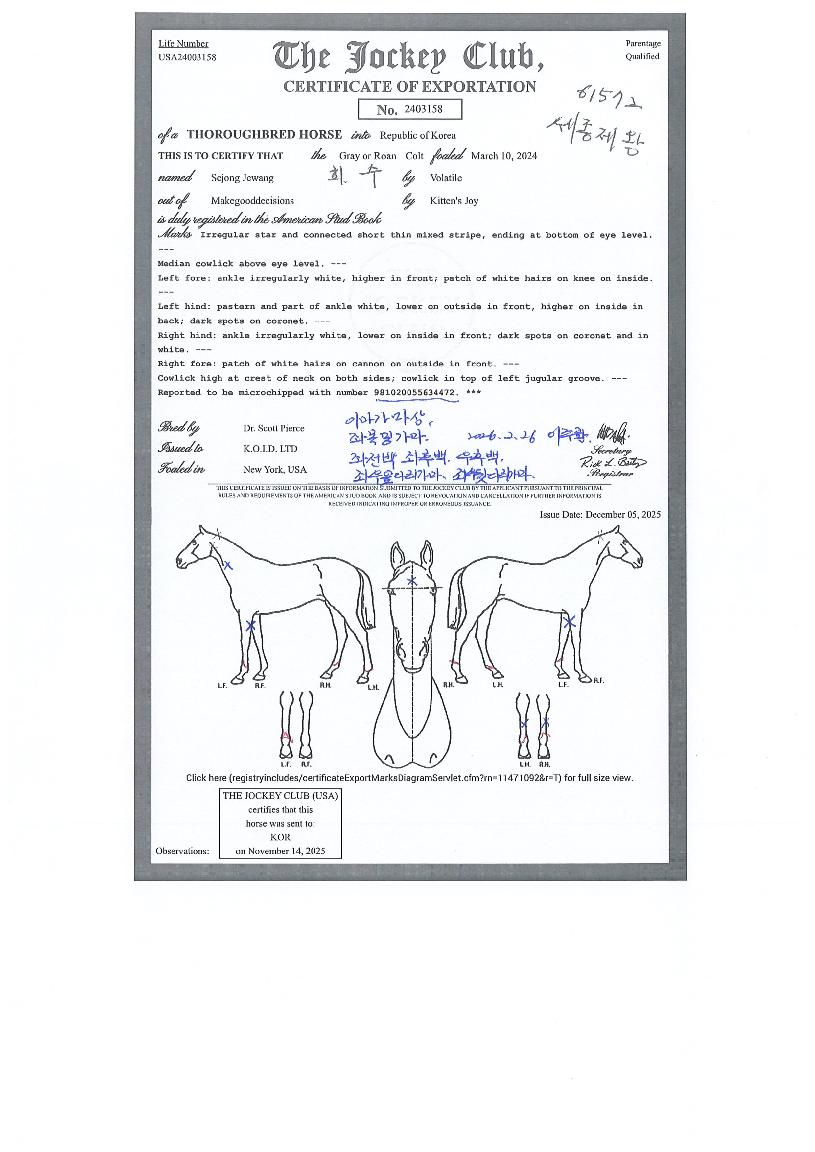 ���������� ����,���,�޸�,�λ�,�ٸ��� Ư¡����