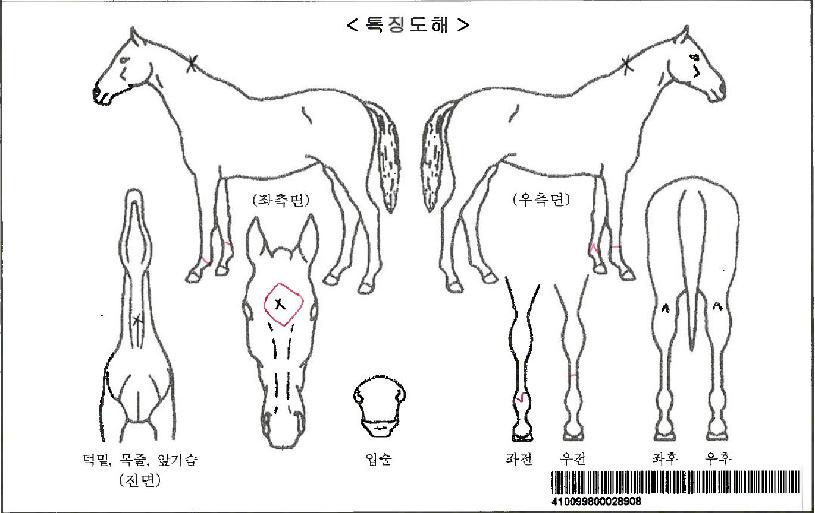 ½º¸¶Æ®ÆÄÅ©ÀÚ¸¶ÀÇ Ãø¸é,¿ì¸é,µÞ¸é,µÎ»ó,´Ù¸®ÀÇ Æ¯Â¡µµÇØ