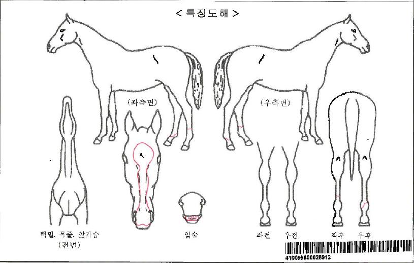 Ŭ��������Ʈ�ڸ��� ����,���,�޸�,�λ�,�ٸ��� Ư¡����