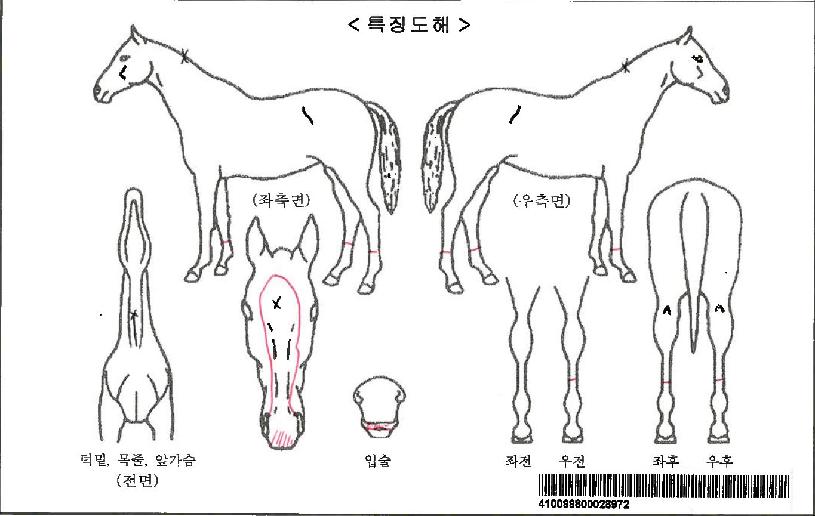 ���������ڸ��� ����,���,�޸�,�λ�,�ٸ��� Ư¡����