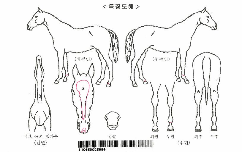 ����׺����ڸ��� ����,���,�޸�,�λ�,�ٸ��� Ư¡����