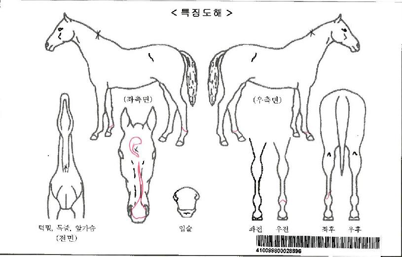 ĳ�������ڸ��� ����,���,�޸�,�λ�,�ٸ��� Ư¡����