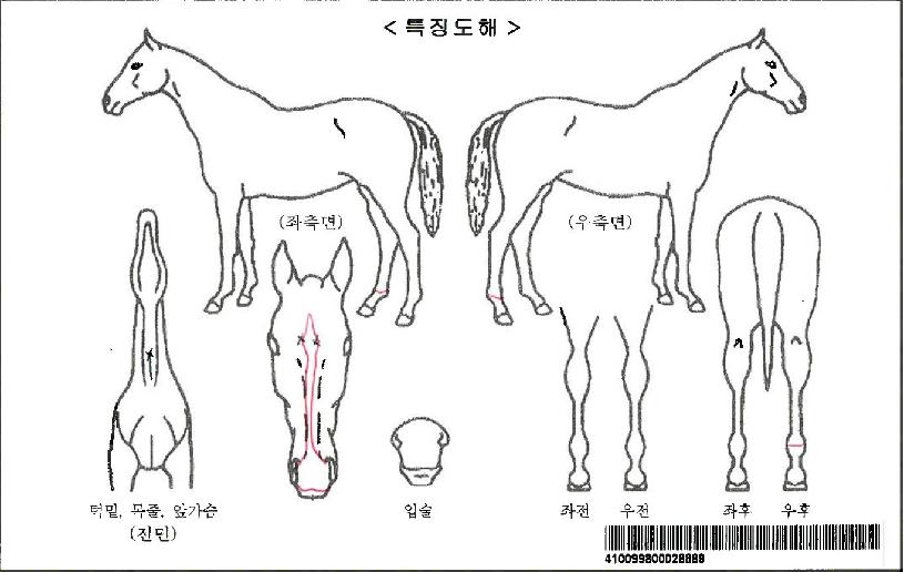 ĳ�������ڸ��� ����,���,�޸�,�λ�,�ٸ��� Ư¡����