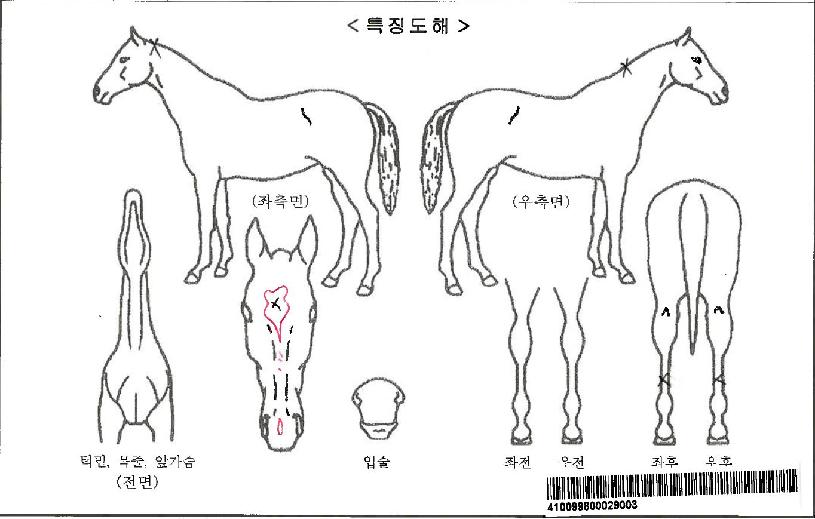 ¸¶ÀÌÆÐ¼ÇÀÚ¸¶ÀÇ Ãø¸é,¿ì¸é,µÞ¸é,µÎ»ó,´Ù¸®ÀÇ Æ¯Â¡µµÇØ