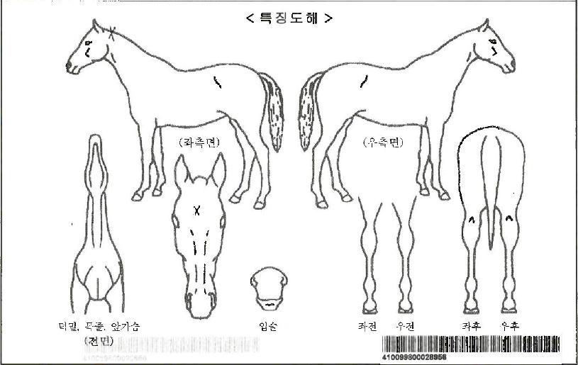 ÆÛÆåÆ®ÆÄÀεåÀÚ¸¶ÀÇ Ãø¸é,¿ì¸é,µÞ¸é,µÎ»ó,´Ù¸®ÀÇ Æ¯Â¡µµÇØ
