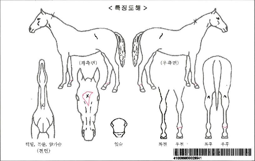 �������ڸ��� ����,���,�޸�,�λ�,�ٸ��� Ư¡����