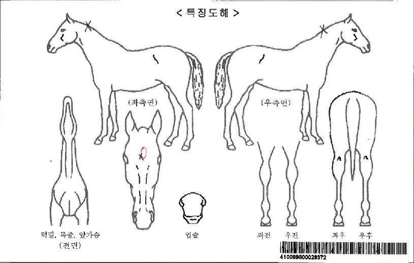 ¸óƼ¼¿·ÎÀÚ¸¶ÀÇ Ãø¸é,¿ì¸é,µÞ¸é,µÎ»ó,´Ù¸®ÀÇ Æ¯Â¡µµÇØ