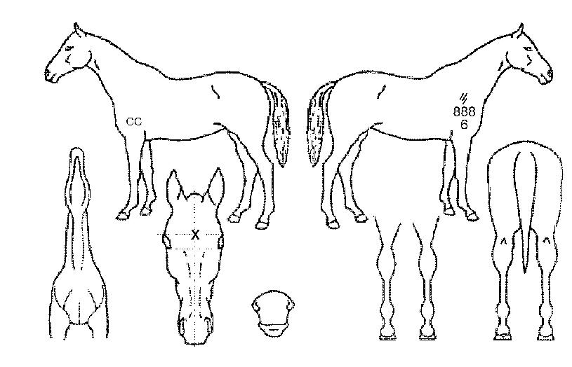 Ŀ�ǿ������� ����,���,�޸�,�λ�,�ٸ��� Ư¡����