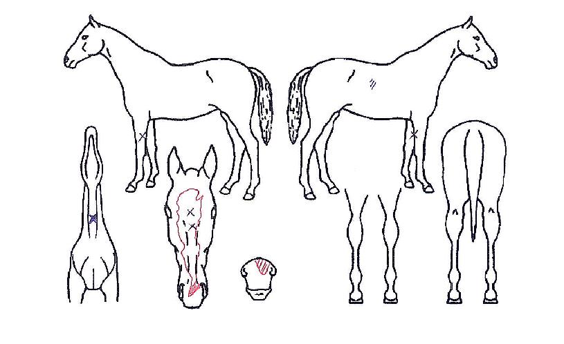 ������� ����,���,�޸�,�λ�,�ٸ��� Ư¡����