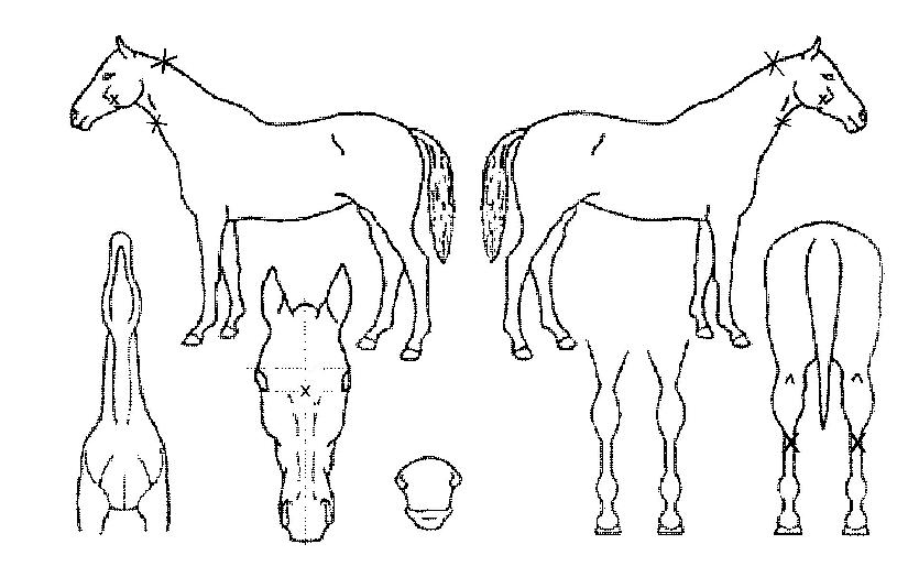 ����Ʈ������ ����,���,�޸�,�λ�,�ٸ��� Ư¡����