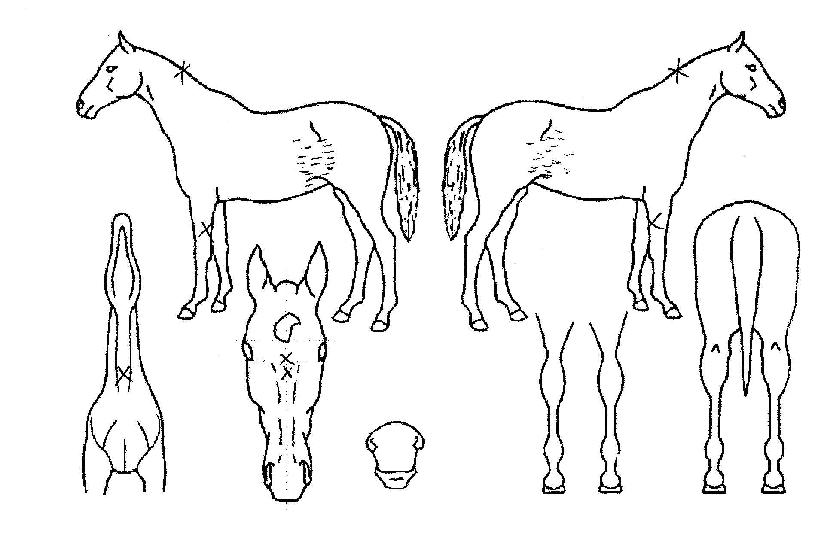 �¸������� ����,���,�޸�,�λ�,�ٸ��� Ư¡����