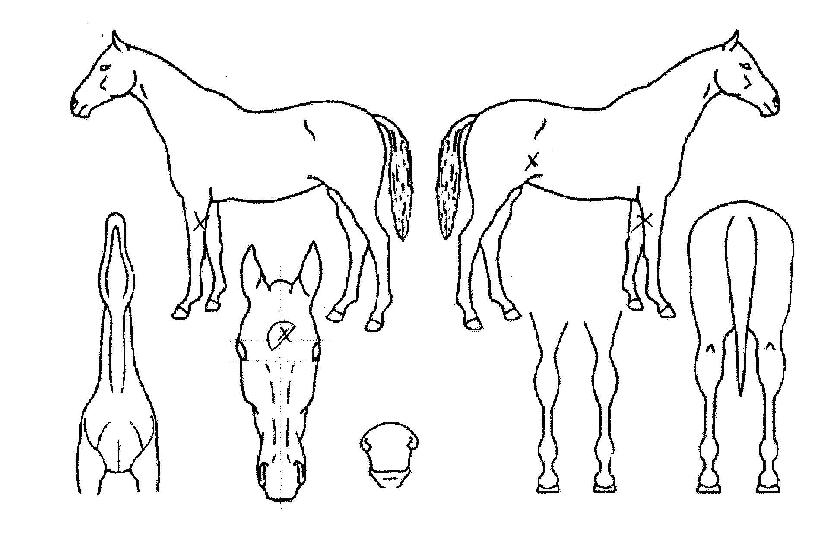 �������� ����,���,�޸�,�λ�,�ٸ��� Ư¡����