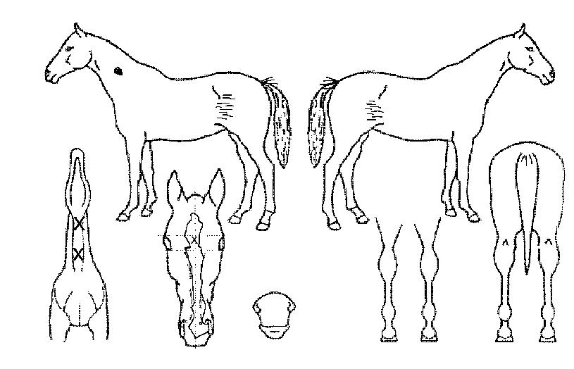 �ϴ������� ����,���,�޸�,�λ�,�ٸ��� Ư¡����